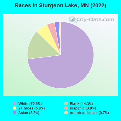 Races in Sturgeon Lake, MN (2019)