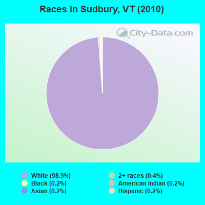 Races in Sudbury, VT (2010)