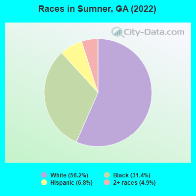 Races in Sumner, GA (2022)