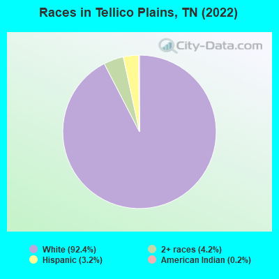 Races in Tellico Plains, TN (2019)