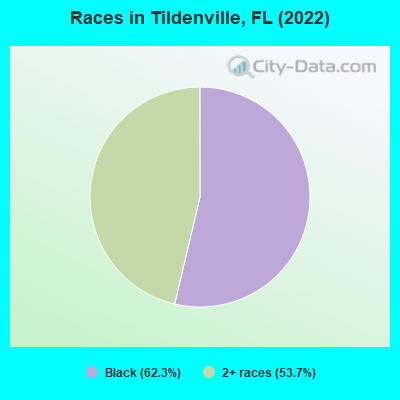 Races in Tildenville, FL (2019)