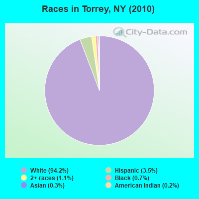 Races in Torrey, NY (2010)