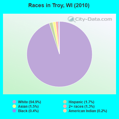 Races in Troy, WI (2010)