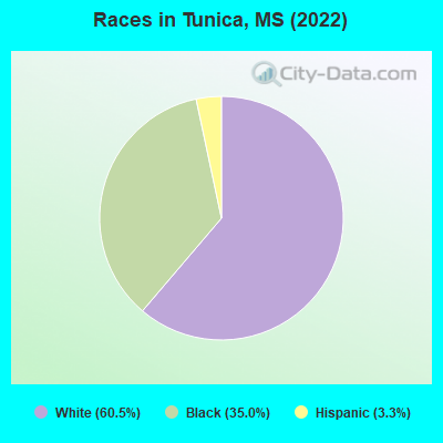 Races in Tunica, MS (2019)