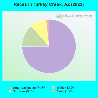 Races in Turkey Creek, AZ (2022)