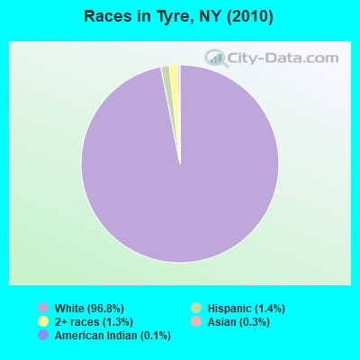 Races in Tyre, NY (2010)