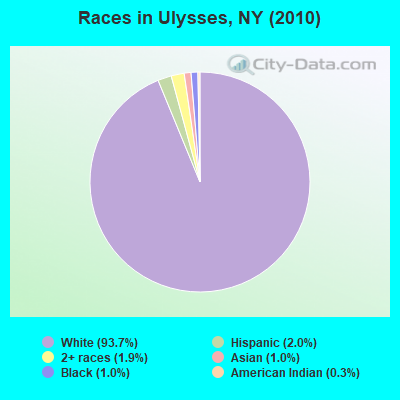 Races in Ulysses, NY (2010)
