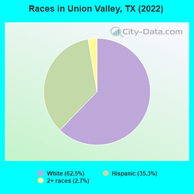 Races in Union Valley, TX (2019)