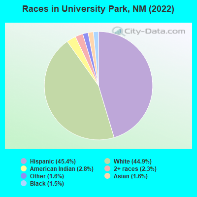 Races in University Park, NM (2022)