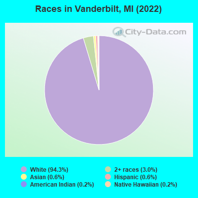 Races in Vanderbilt, MI (2019)