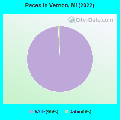 Races in Vernon, MI (2022)