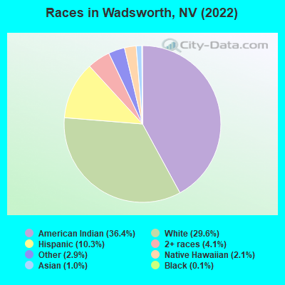 Races in Wadsworth, NV (2022)