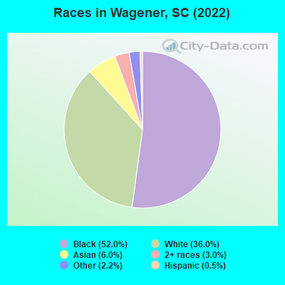 Races in Wagener, SC (2019)