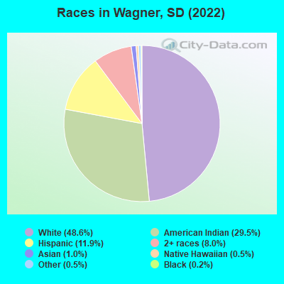 Races in Wagner, SD (2022)