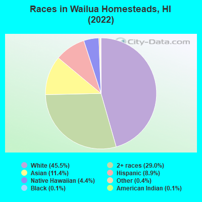 Races in Wailua Homesteads, HI (2022)
