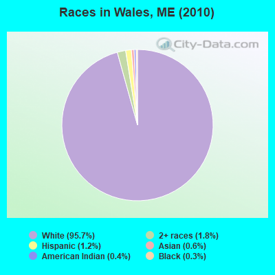 Races in Wales, ME (2010)