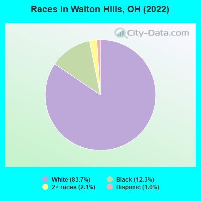 Races in Walton Hills, OH (2021)