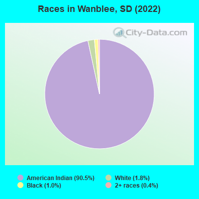 Races in Wanblee, SD (2022)