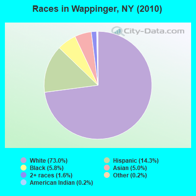 Races in Wappinger, NY (2010)