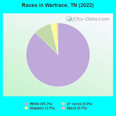 Races in Wartrace, TN (2019)