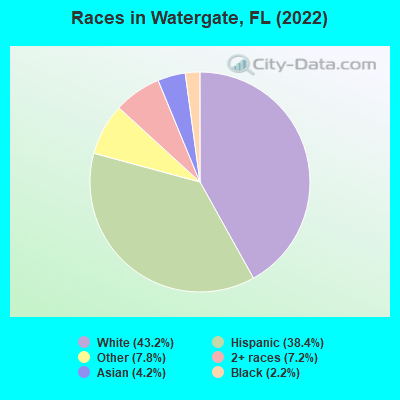 Races in Watergate, FL (2019)