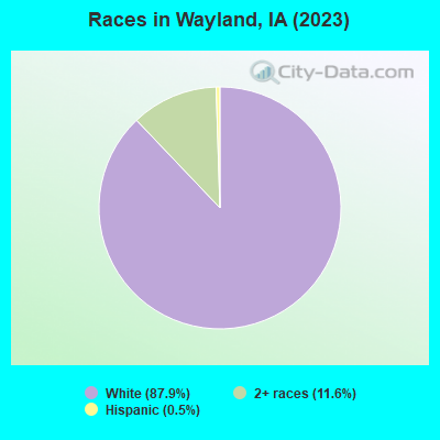 Races in Wayland, IA (2022)