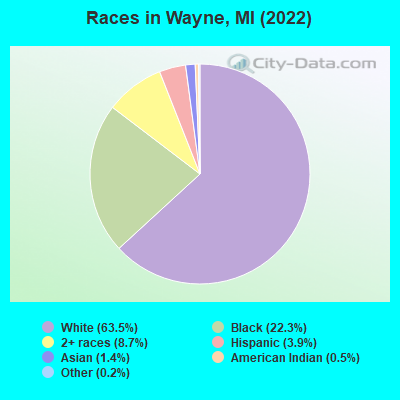 Races in Wayne, MI (2019)