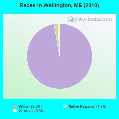 Races in Wellington, ME (2010)