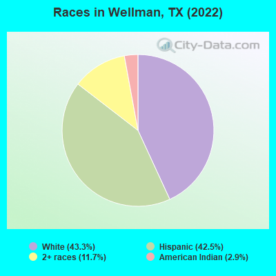 Races in Wellman, TX (2022)