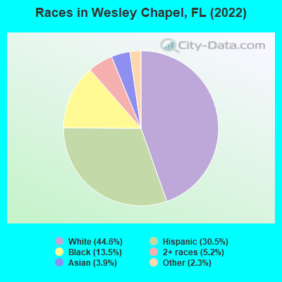 Races in Wesley Chapel, FL (2021)