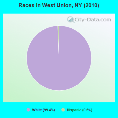 Races in West Union, NY (2010)