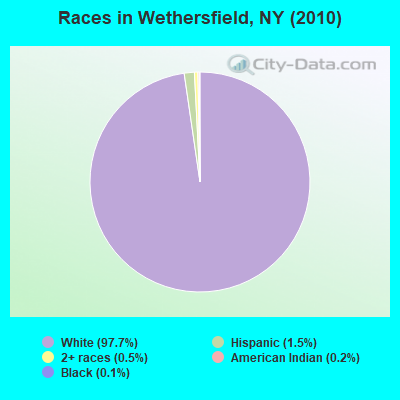 Races in Wethersfield, NY (2010)