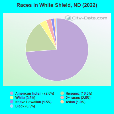 Races in White Shield, ND (2022)