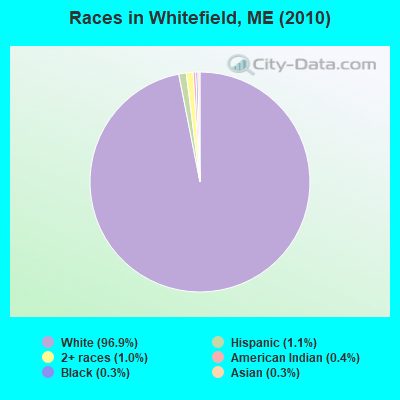 Races in Whitefield, ME (2010)