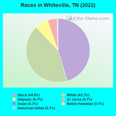 Races in Whiteville, TN (2019)