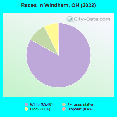 Races in Windham, OH (2019)