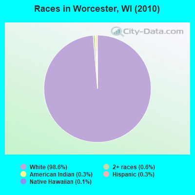 Races in Worcester, WI (2010)