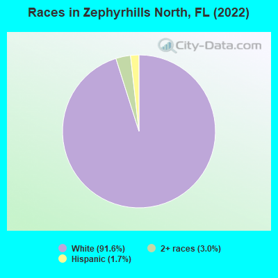 Races in Zephyrhills North, FL (2022)