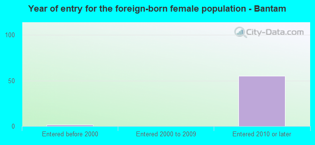Year of entry for the foreign-born female population - Bantam