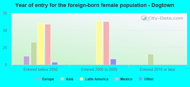 Year of entry for the foreign-born female population - Dogtown