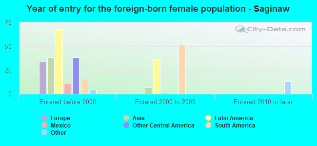 Year of entry for the foreign-born female population - Saginaw
