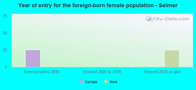 Year of entry for the foreign-born female population - Selmer