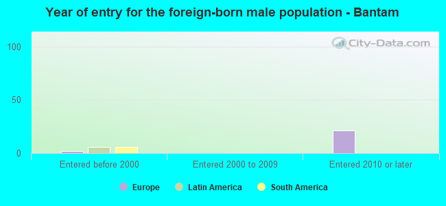 Year of entry for the foreign-born male population - Bantam