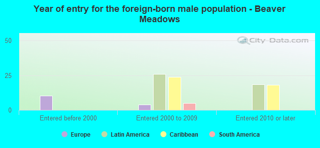 Year of entry for the foreign-born male population - Beaver Meadows