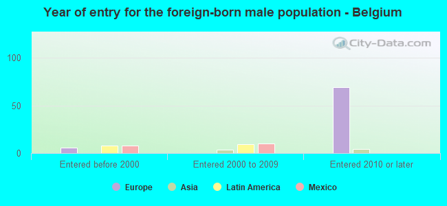 Year of entry for the foreign-born male population - Belgium