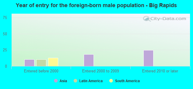 Year of entry for the foreign-born male population - Big Rapids