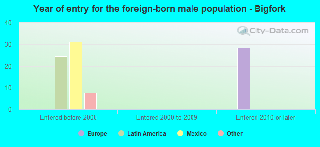 Year of entry for the foreign-born male population - Bigfork