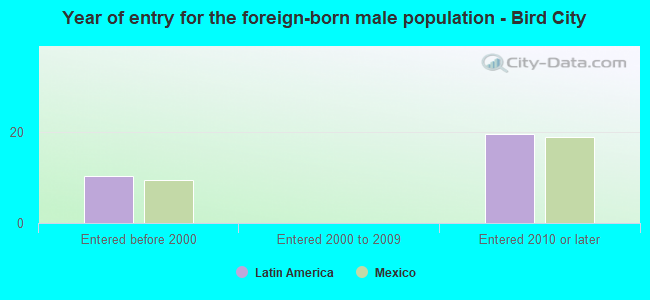 Year of entry for the foreign-born male population - Bird City