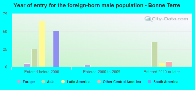 Year of entry for the foreign-born male population - Bonne Terre