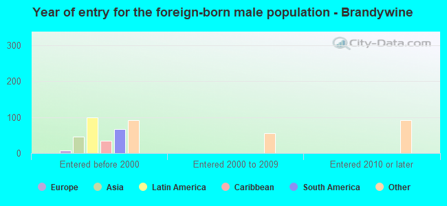 Year of entry for the foreign-born male population - Brandywine